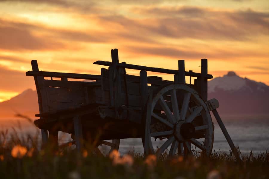 Puerto Natales: Traditional Horseback Riding Experience - Who should book this experience?