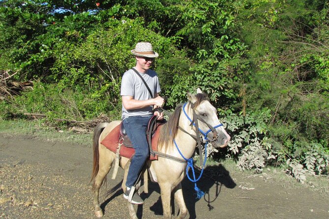 Puerto Plata City Horseback Riding Tour ,Rios,Beaches and Countryside - Coffee, cocoa, fruit, and a family farm