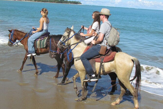Puerto Plata City Horseback Riding Tour ,Rios,Beaches and Countryside - Who will get the most from this experience