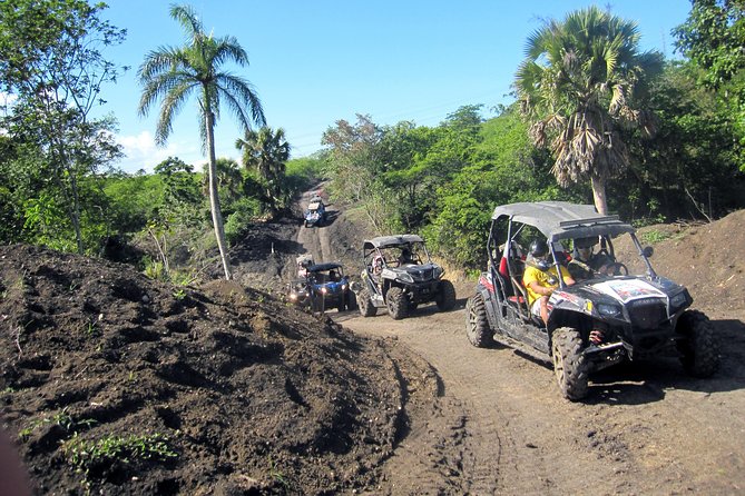 Puerto Plata: Damajagua waterfalls + Safari buggy + Horseback riding (TOP3IN1) - Guides, group size, and the practical details