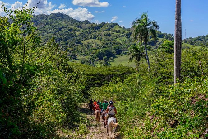 Puerto Plata: Damajagua waterfalls + Safari buggy + Horseback riding (TOP3IN1) - What makes the waterfall stop worth the effort