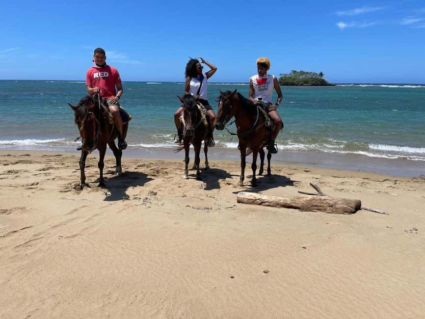 Puerto Plata: Horseback Riding Tour - What happens before you mount the horse