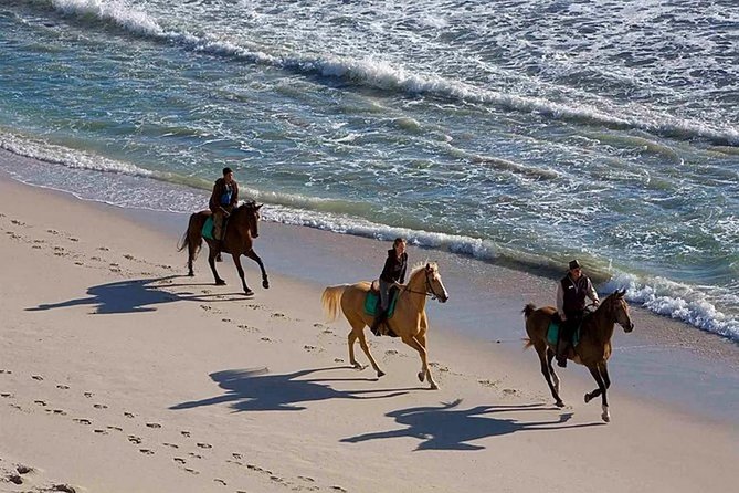Puerto Plata: Sunset Beach Horseback Riding - Sunset on the Puerto Plata shore