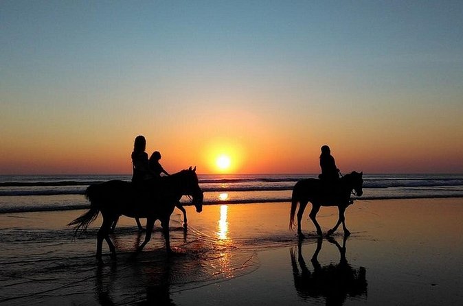 Puerto Plata: Sunset Beach Horseback Riding - Taking a horse into the ocean