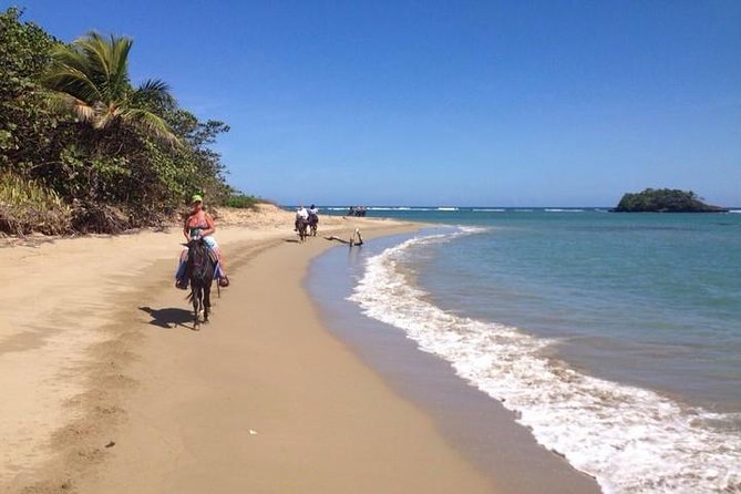 Puerto Plata: Sunset Beach Horseback Riding - From the ranch to Boca Nueva