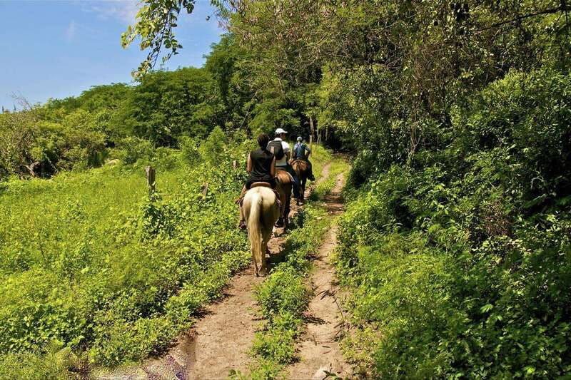 Puerto Vallarta Horseback Riding - Who will enjoy this ride most