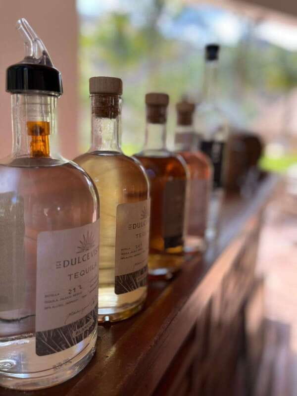 Puerto Vallarta: Horseback Riding at Hacienda Doña Engracia - From Nima Bay to the mountain foothills