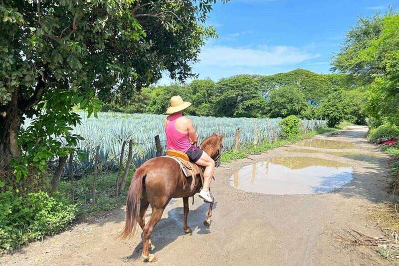 Puerto Vallarta: Horseback Riding at Hacienda Doña Engracia - Three tequilas, three liquors, and the agave lesson