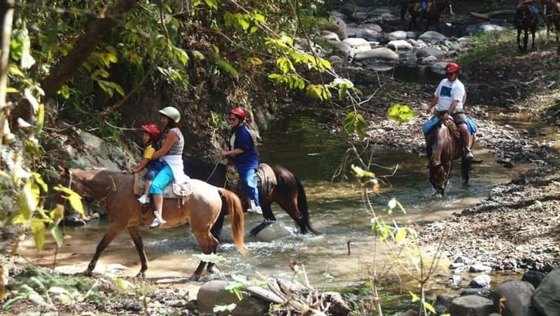 Puerto Vallarta: Horseback Riding at Hacienda Doña Engracia - Getting matched with the right horse