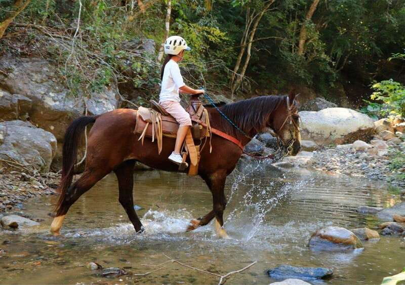 Puerto Vallarta: Horseback Riding + Jorullo Bridge Pass - Key points to know before you book