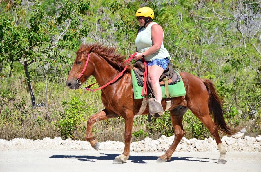 Punta Cana: Bávaro Adventure Park Horse Riding & Waterfalls - Getting to Bávaro Adventure Park