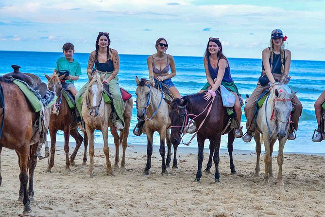 Punta Cana Beach Horseback Ride Paradise Coast Experience - A quieter way to see Punta Cana on horseback