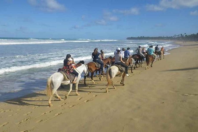 Punta Cana Beach Horseback Riding - Key points before you saddle up