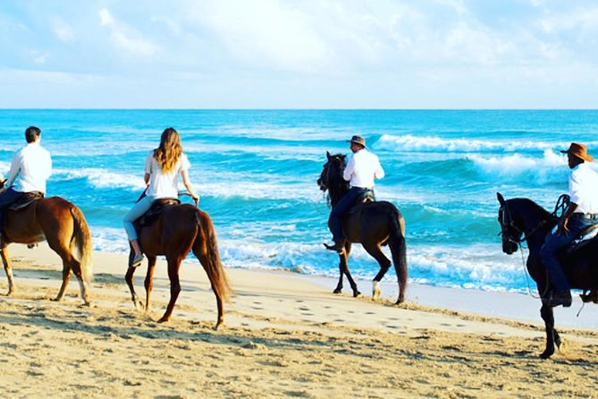 Punta Cana Beach Horseback Riding - What the ride is really like