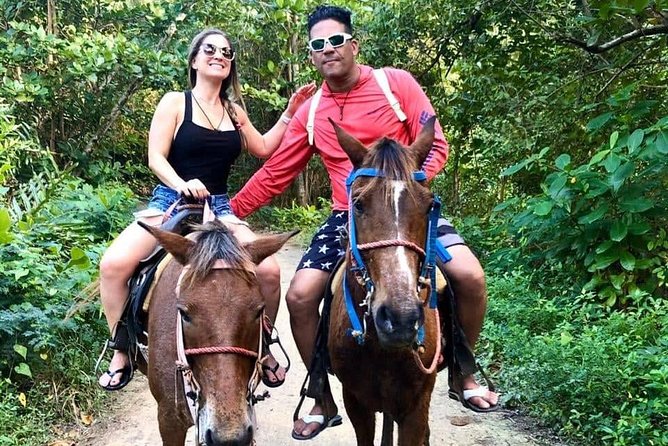 Punta Cana Beach Horseback Riding - Group size, pace, and comfort