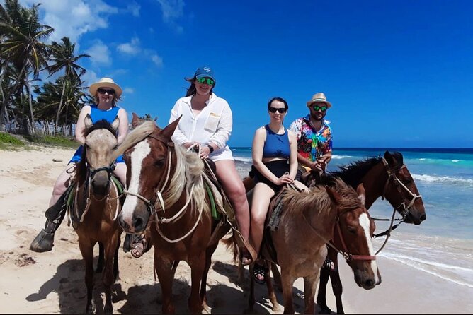 Punta Cana Horse Riding for Beaches in Field - Pickup, groups, and timing
