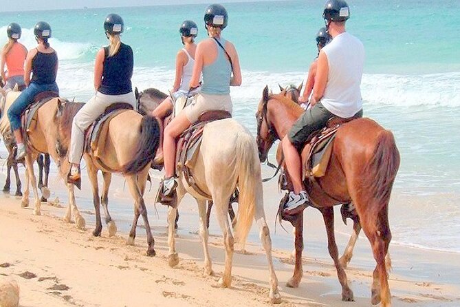 Punta Cana Horse Riding for Beaches in Field - Macao Beach, sand, surf, and open views