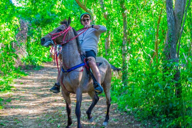 Punta Cana Horseback Ride: Jungle, Macao Beach & Free Pick Up - Quick take: what makes this ride worth considering