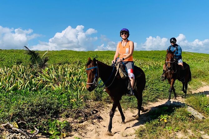 Punta Cana Horseback Ride: Jungle, Macao Beach & Free Pick Up - Riding along Macao Beach