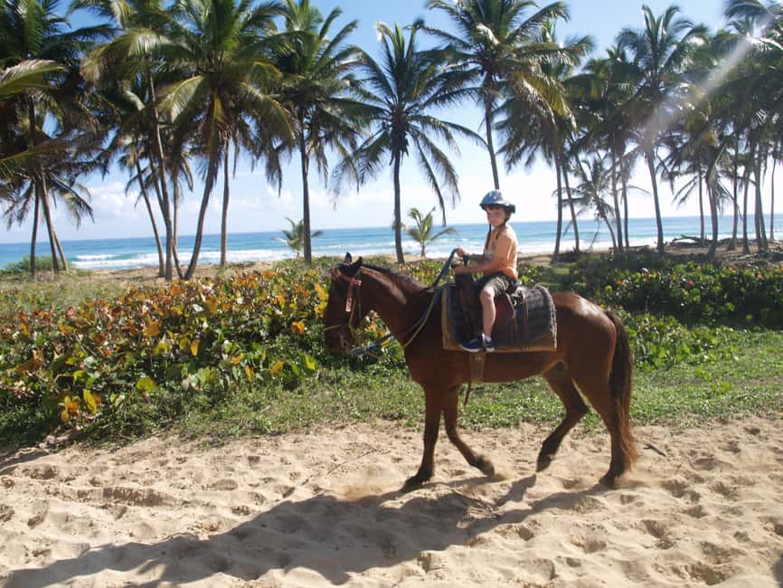 Punta Cana: Horseback Ride to Macao Beach - A short safety briefing before you ride