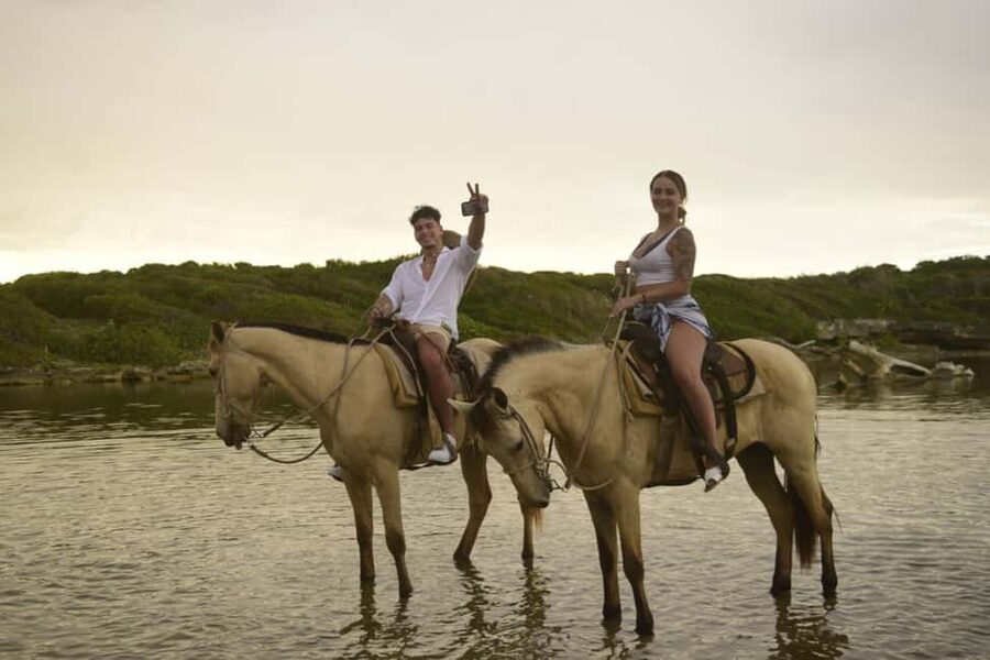 Punta Cana: Horseback Ride to Macao Beach - Under the trees of Punta Cana Forest