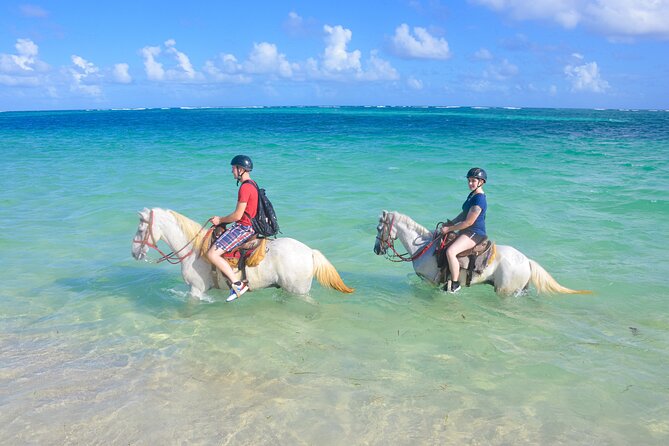 Punta Cana Horseback Riding Adventure - Key points at a glance