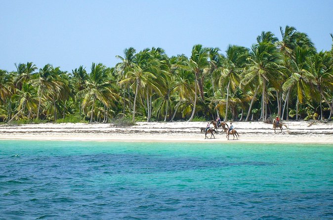 Punta Cana Horseback Riding Adventure - What the guides add to the experience