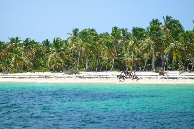 Punta Cana Horseback Riding Adventure - Hotel pickup keeps the day simple