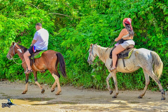 Punta Cana Horseback Riding Adventure on Macao Beach - The Macao Beach Horse Ride