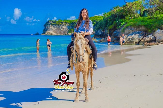 Punta Cana Horseback Riding Adventure with Exclusive Visits - Horses, riding ability, and animal welfare