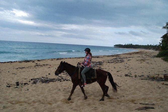 Punta Cana Horseback Riding on the Beach - Key points to know before you saddle up