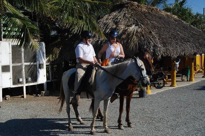 Punta Cana Horseback Riding on the Beach - Starting the morning with hotel pickup