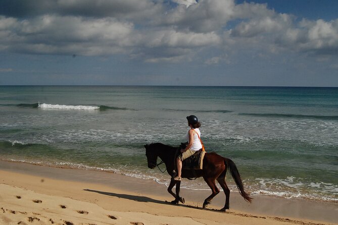 Punta Cana Horseback Riding on the Beach - Reaching the river where it meets the ocean
