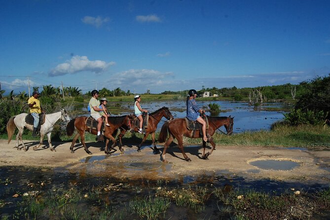 Punta Cana Horseback Riding on the Beach - What the $75 price really covers