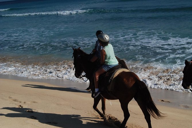 Punta Cana Horseback Riding on the Beach - Who will enjoy this ride most