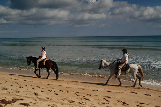 Punta Cana Horseback Riding on the Beach - Is Punta Cana beach horseback riding worth booking?