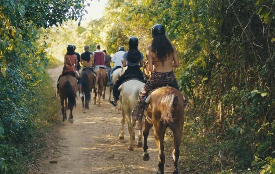 Punta Cana Horseback riding & Sunset + beach + free pick-up - Key things to know before booking