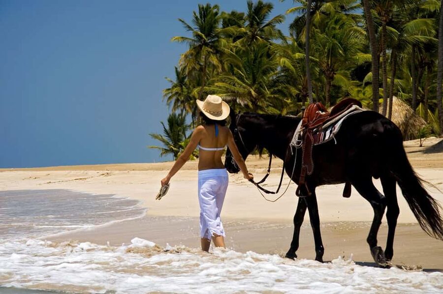 Punta Cana: Horseback Riding through Stunning Beaches - Key details before you saddle up
