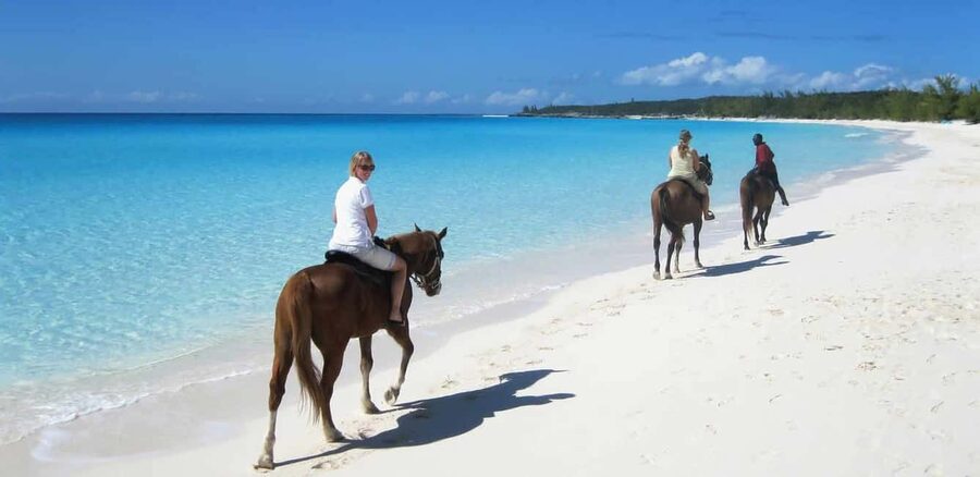 Punta Cana: Horseback Riding through Stunning Beaches - The forest and country-road approach
