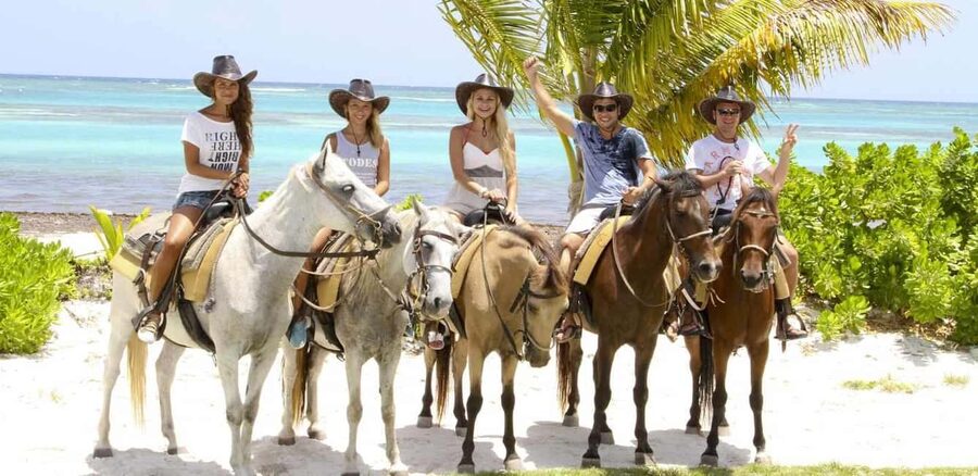 Punta Cana: Horseback Riding through Stunning Beaches - Meeting your horse and learning the basics