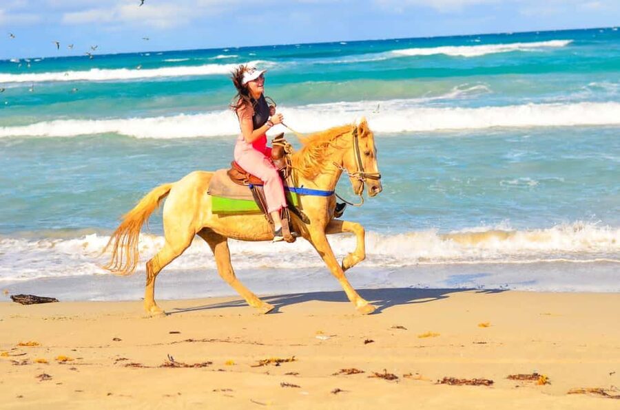 Punta Cana: Macao Beach & Forest Horseback Riding Tour - Who will enjoy this tour most?