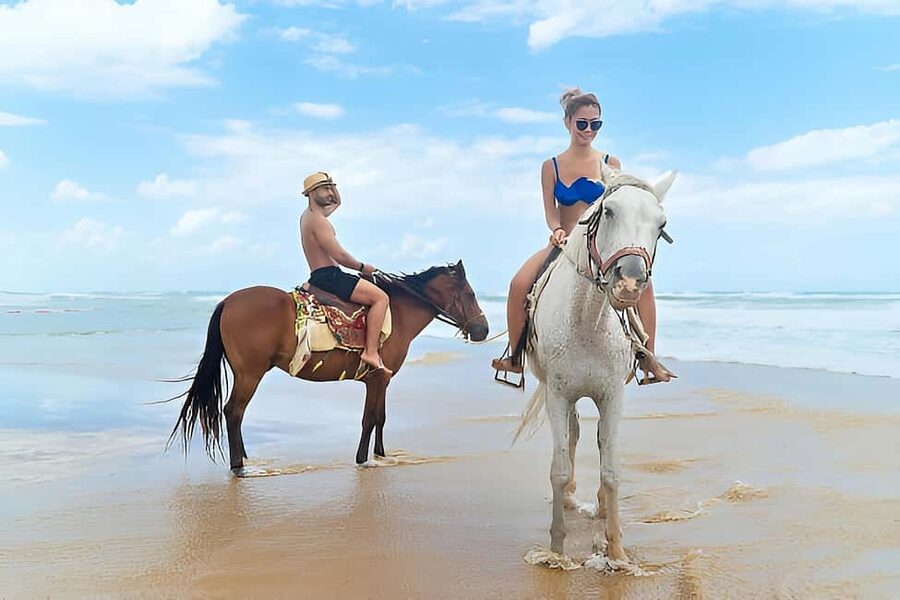 Punta Cana: Macao Beach & Forest Horseback Riding Tour - From Punta Cana hotels to the Macao coast