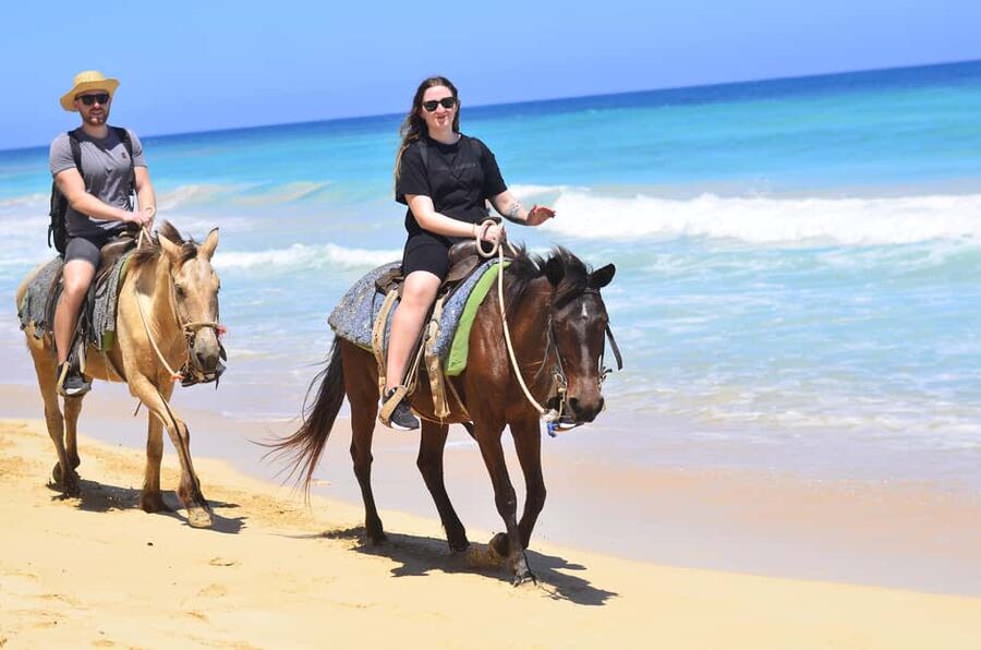 Punta Cana: Macao Beach & Forest Horseback Riding Tour - Meeting the horses and learning the basics