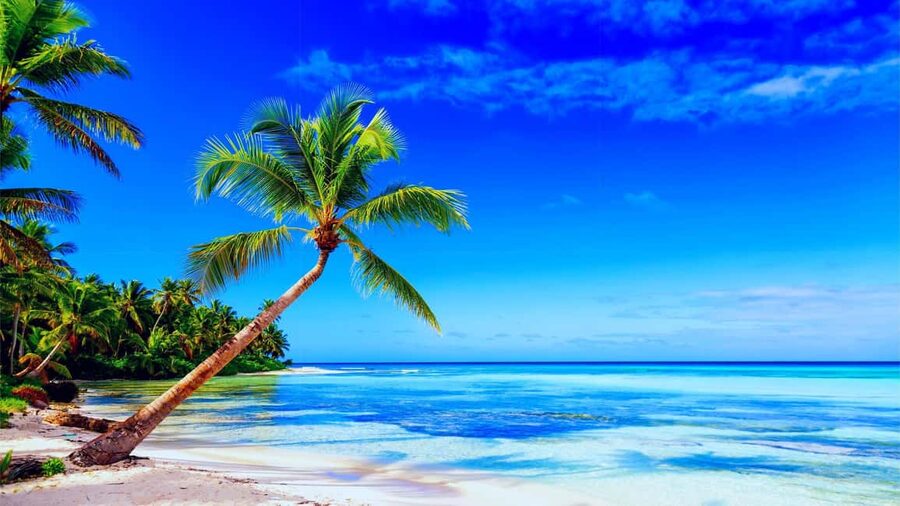 Punta Cana: Samaná Day Tour with Horse Ride and Cruise - Key points to know before booking