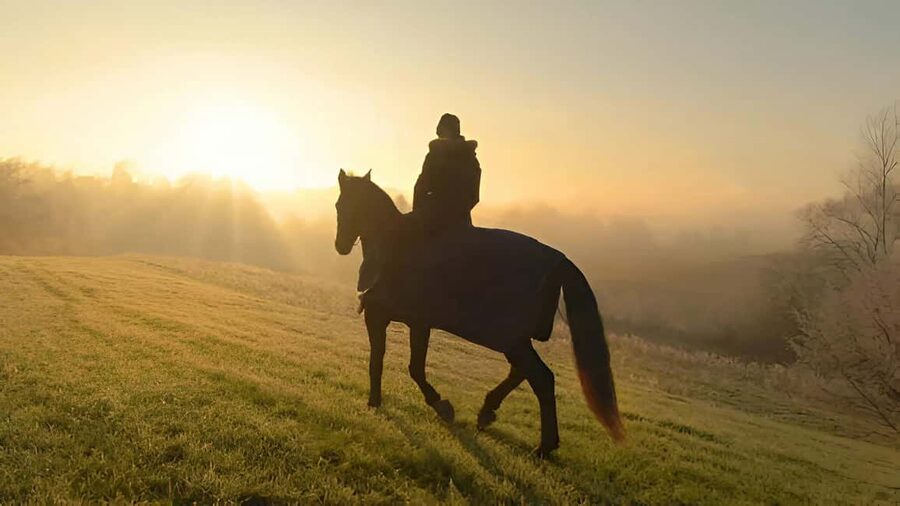 Punta Cana: Sunset Horseback Ride in Macao Beach and Forest - Guides who make the ride feel safe
