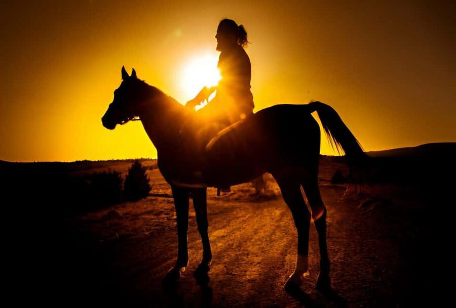 Punta Cana: Sunset Horseback Ride in Macao Beach and Forest - The 25-minute ride from Punta Cana