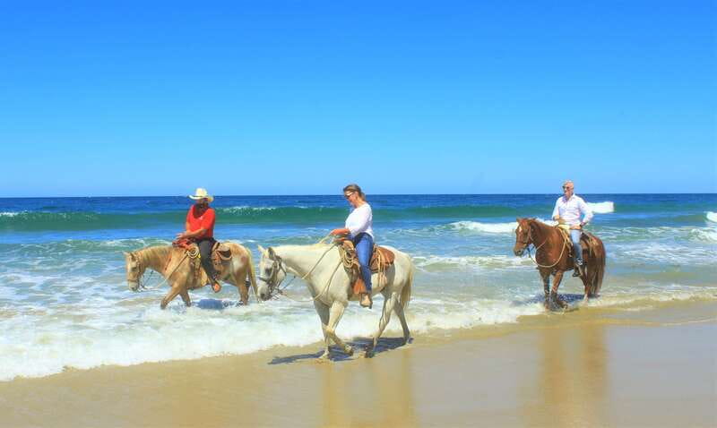 Punta de Mita/Sayulita: Horseback Riding Tour - Should you book the Higuera Blanca ride?