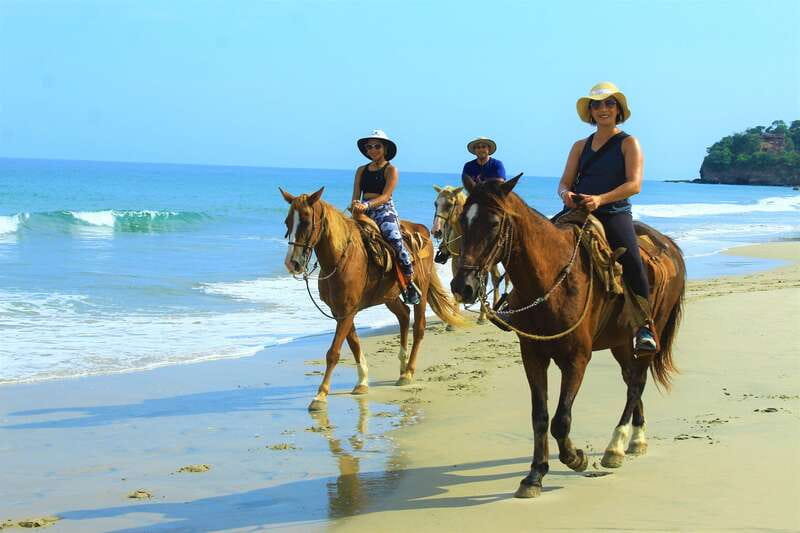 Punta de Mita/Sayulita: Horseback Riding Tour - Guides, transport, and the true time commitment
