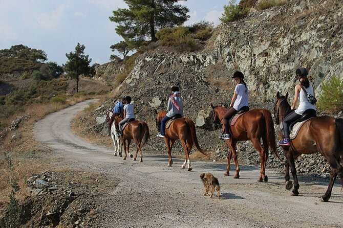 Quad Biking and Horse Riding; Super Combo Tour from Marmaris - Mud, photographs, and the end of the ride
