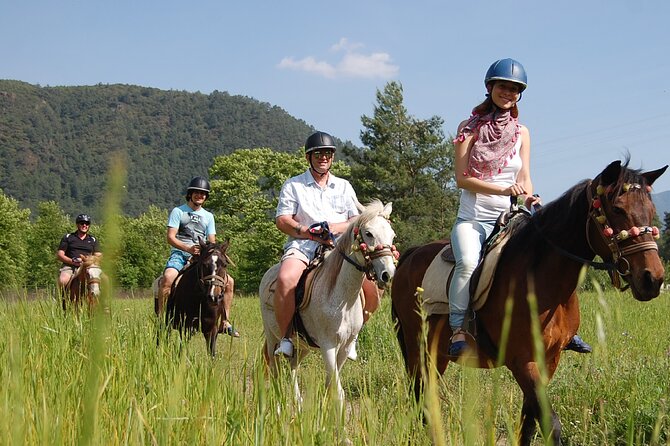 Quad Biking and Horse Riding; Super Combo Tour from Marmaris - Leaving Marmaris for the forested mountains